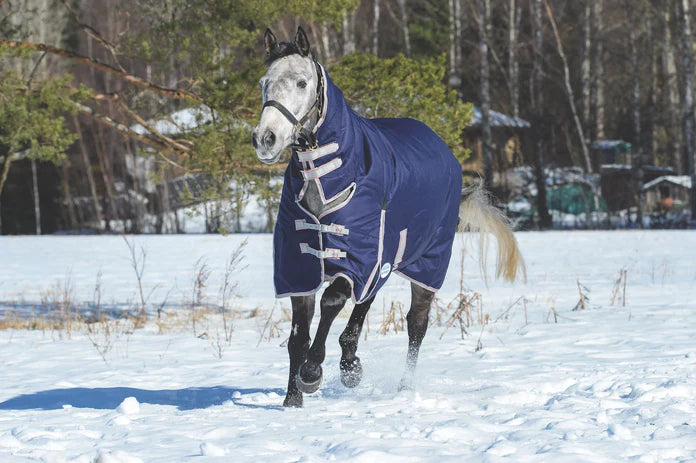 Lightweight vs. Heavyweight Horse Blankets: Which is Right for Your Horse?