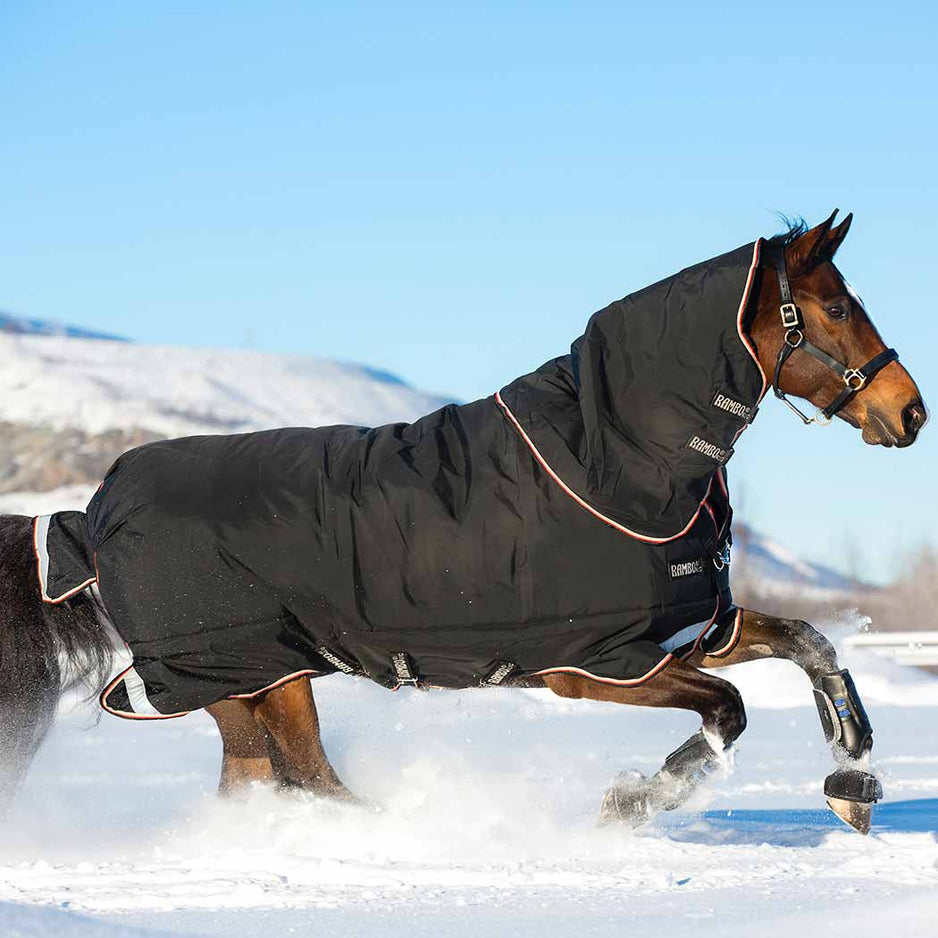 Horseware Blanket Clearance