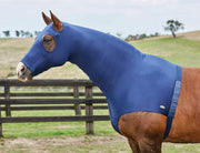 WeatherBeeta Stretch Hood With Zipper in Navy - On horse