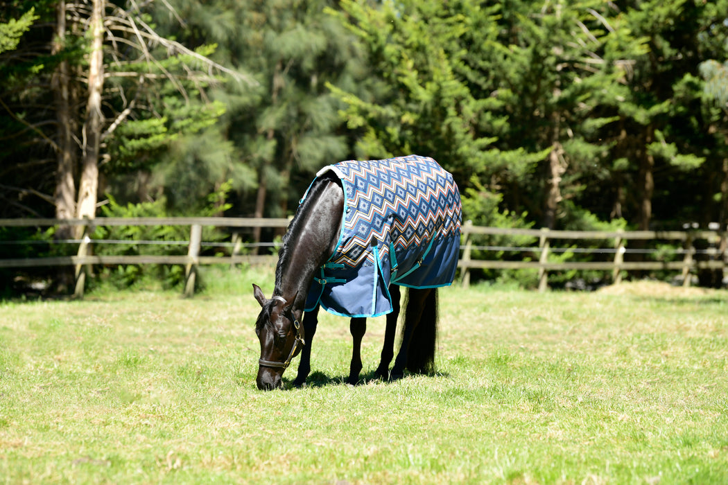 WeatherBeeta ComFiTec Essential Standard Neck Turnout Blanket (220g Medium)