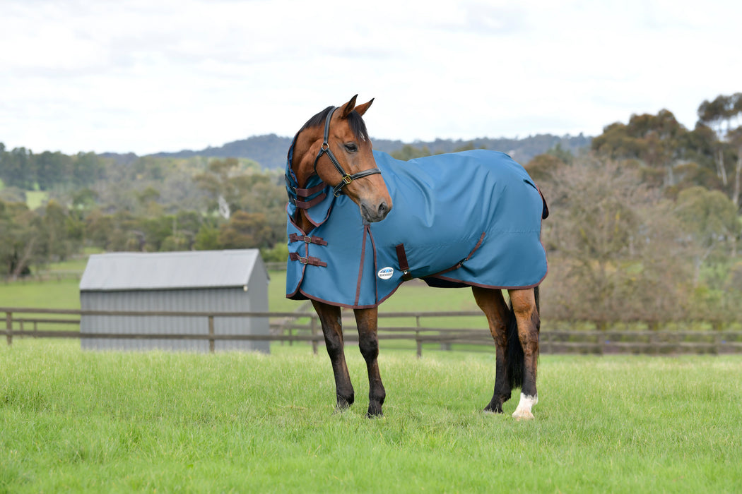 WeatherBeeta ComFiTec Classic Combo Neck Turnout Blanket (220g Medium) - CLOSEOUT