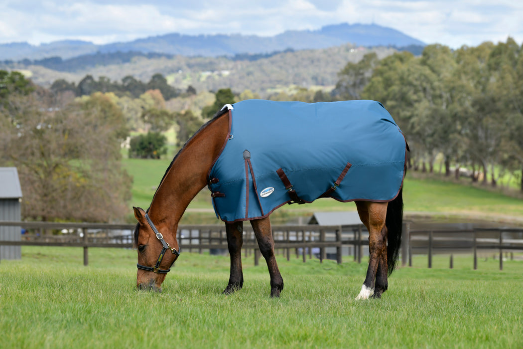 WeatherBeeta ComFiTec Classic Standard Neck Turnout Blanket (220g Medium)