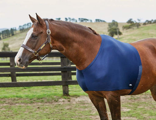 WeatherBeeta Stretch Shoulder Guard in Navy