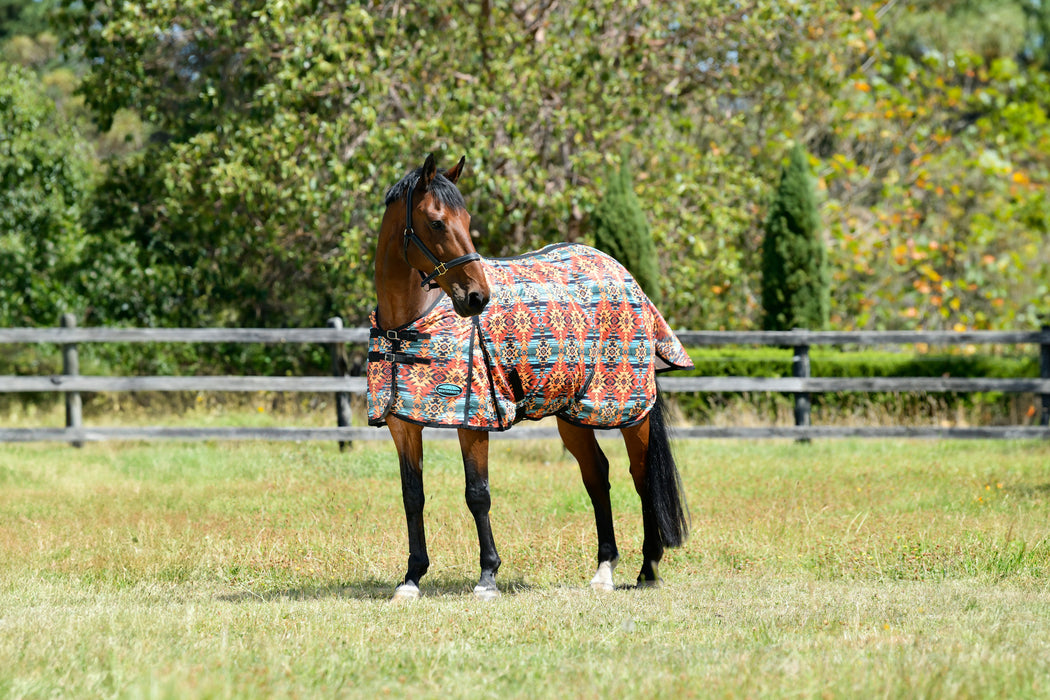 WeatherBeeta ComFiTec Essential Mesh II Standard Neck Fly Sheet (No Fill) in Western Sunset Print - On horse looking up from side