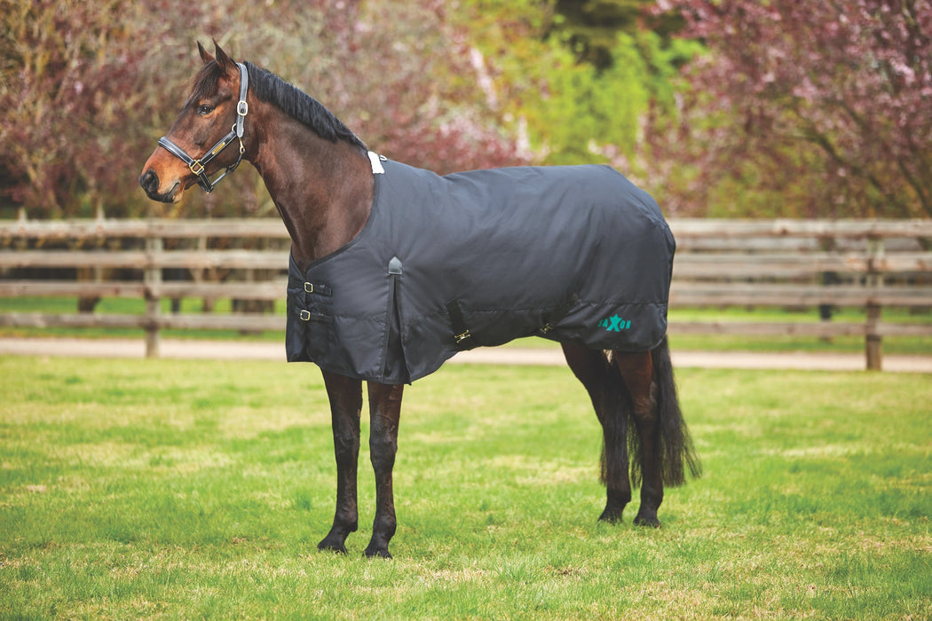 Saxon 1200D with Gusset Standard Neck II Turnout Blanket (300g Heavy)