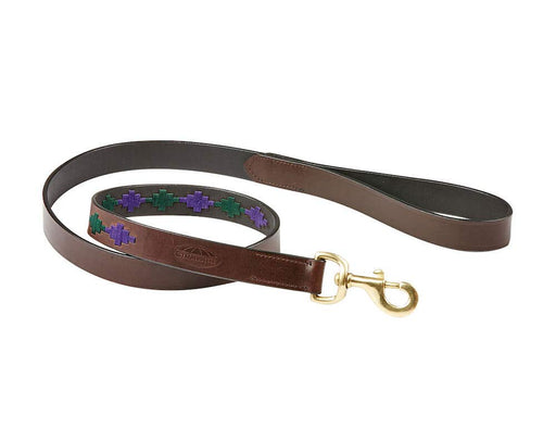 WeatherBeeta Polo Leather Dog Lead in BEAUFORT BROWN/PURPLE/TEAL