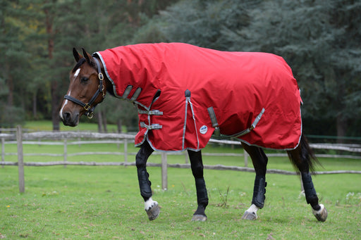 Estrella Horse Blankets - Horse Sheets, Hoods & More!