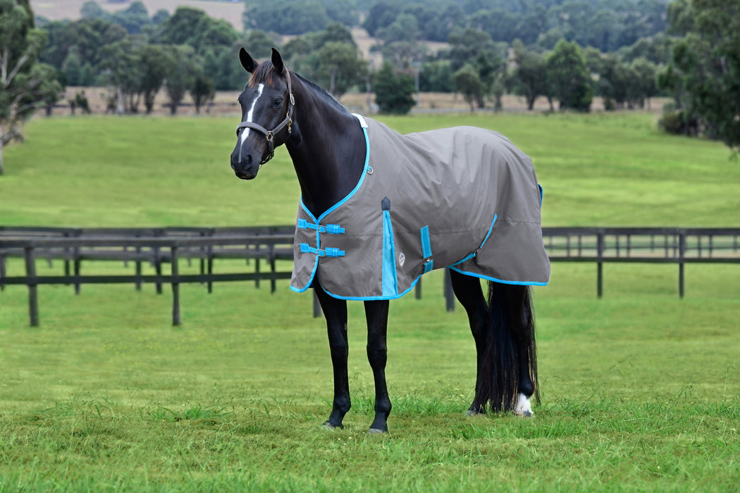 WeatherBeeta ComFiTec Classic Standard Neck Turnout Sheet (0g Lite) in Light Grey (Bright Blue/White Trim) - On horse from side