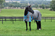 WeatherBeeta ComFiTec Classic Standard Neck Turnout Sheet (0g Lite) in Light Grey (Bright Blue/White Trim) - On horse looking back from side