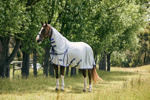 WeatherBeeta ComFiTec Airflow II Detach-A-Neck Fly Sheet (No Fill) in Grey (Blue/Grey Trim) - On horse from side