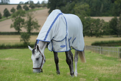 WeatherBeeta ComFiTec Airflow II Detach-A-Neck Fly Sheet (No Fill) in Grey (Blue/Grey Trim) - On horse eating from side