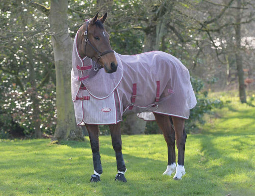 WeatherBeeta ComFiTec Ripshield Plus Detach-A-Neck Fly Sheet (No Fill + Belly Wrap) in White with Burgundy - Horse from side