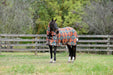 WeatherBeeta ComFiTec Essential Mesh II Combo Neck Fly Sheet (No Fill + Hood) in Western Sunset Print - On horse from side