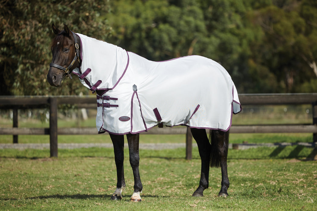 WeatherBeeta ComFiTec Essential Mesh II Combo Neck Fly Sheet (No Fill + Hood) in White (Maroon/Grey Trim) - On horse from side close-up