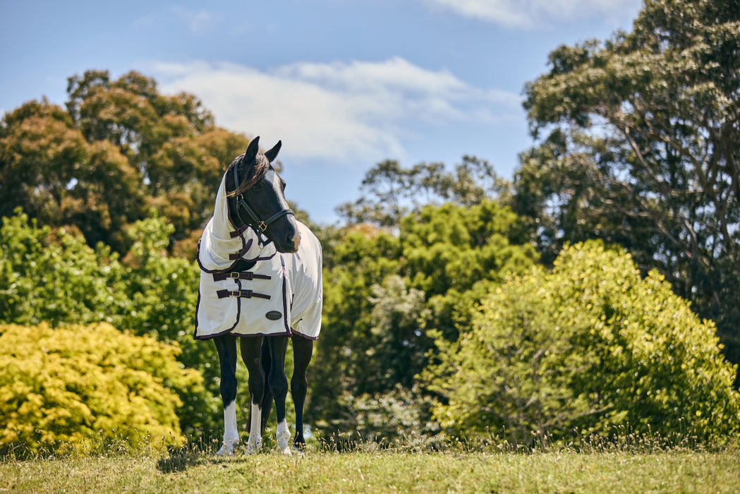 WeatherBeeta ComFiTec Essential Mesh II Combo Neck Fly Sheet (No Fill + Hood) in White (Maroon/Grey Trim) - On horse from front