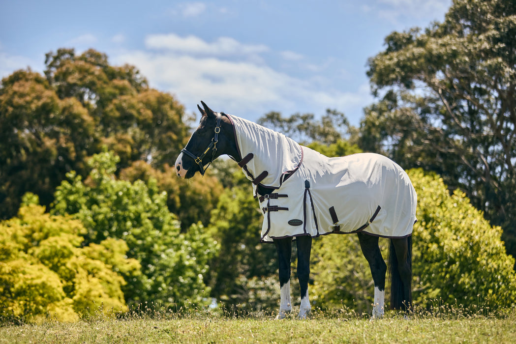 WeatherBeeta ComFiTec Essential Mesh II Combo Neck Fly Sheet (No Fill + Hood) in White (Maroon/Grey Trim) - On horse from side