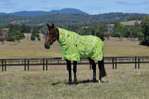 Saxon Mesh Combo Neck Fly Sheet (No Fill + Hood + Gusset + Belly Wrap) in Hedgehogs & Flowers Print - On horse