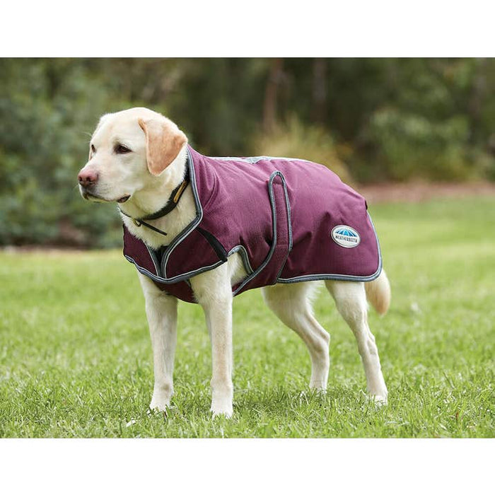 WeatherBeeta ComFiTec Premier Free Parka Deluxe Dog Coat (220g Medium) - CLOSEOUT