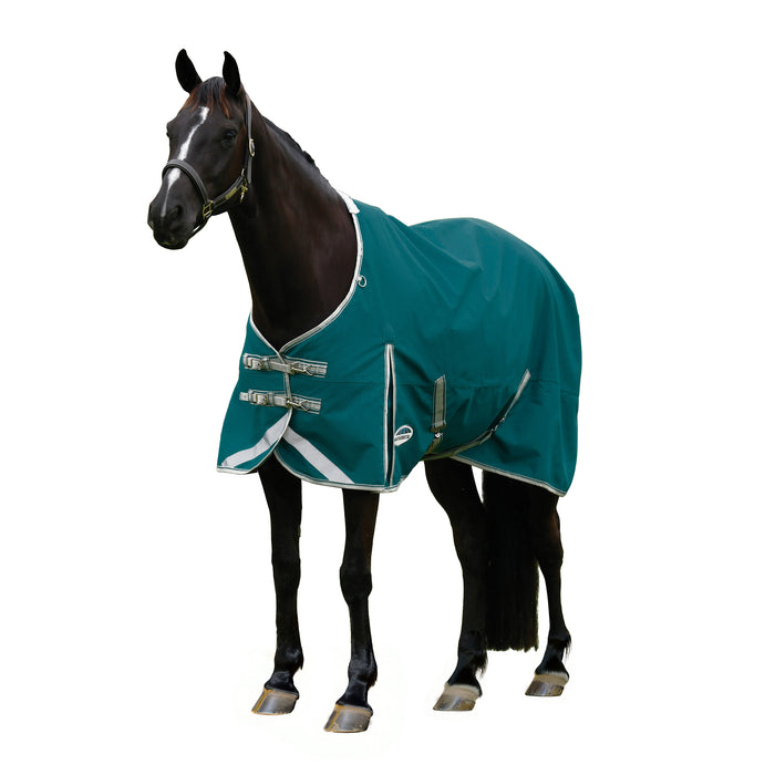 WeatherBeeta ComFiTec Plus Dynamic II Standard Neck Turnout Sheet (0g Lite) in Teal Green (Stone/Teal Trim) - On horse from side with white background