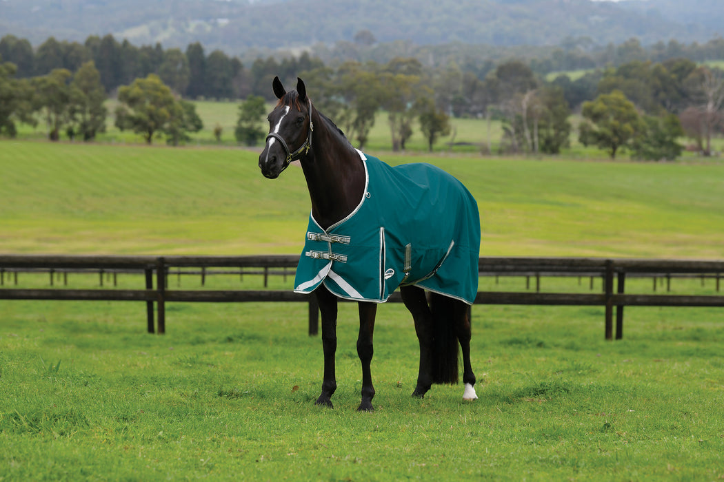 WeatherBeeta ComFiTec Plus Dynamic II Standard Neck Turnout Sheet (0g Lite) in Teal Green (Stone/Teal Trim) - On horse from side