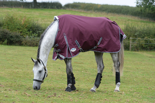 WeatherBeeta ComFiTec Plus Dynamic II Standard Neck Turnout Sheet (0g Lite) in Maroon (Grey/White Trim) - On horse eating from side