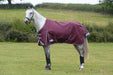 WeatherBeeta ComFiTec Plus Dynamic II Standard Neck Turnout Sheet (0g Lite) in Maroon (Grey/White Trim) - On horse from side