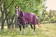 WeatherBeeta ComFiTec Plus Dynamic II Detach-A-Neck Turnout Sheet (0g Lite) in Maroon (Grey/White Trim) - On horse from side