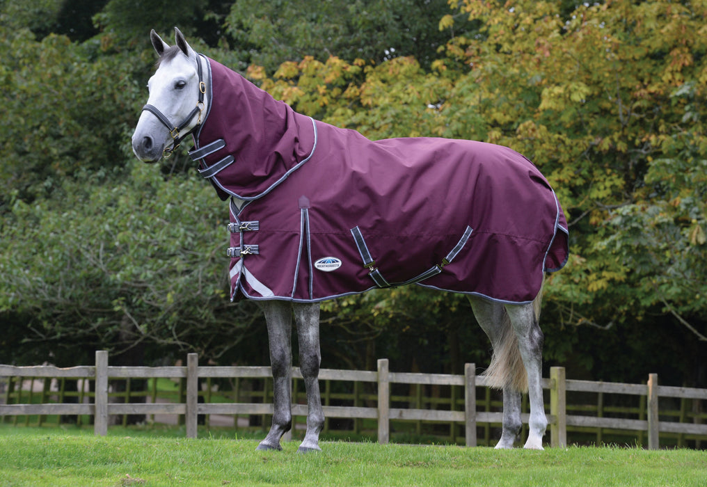 WeatherBeeta ComFiTec Plus Dynamic II Detach-A-Neck Turnout Sheet (0g Lite) in Maroon (Grey/White Trim) - On horse from side profile