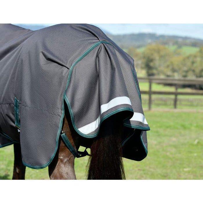 WeatherBeeta ComFiTec Plus Dynamic II Detach-A-Neck Turnout Blanket (220g Medium)