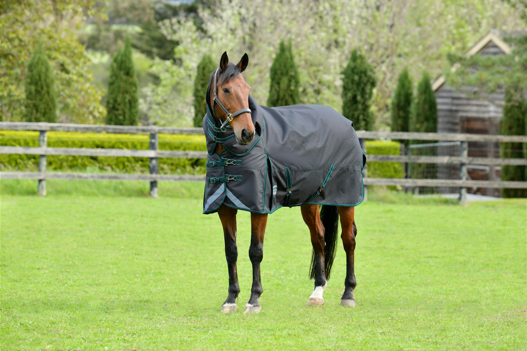 WeatherBeeta ComFiTec Plus Dynamic II Detach-A-Neck Turnout Blanket (220g Medium)