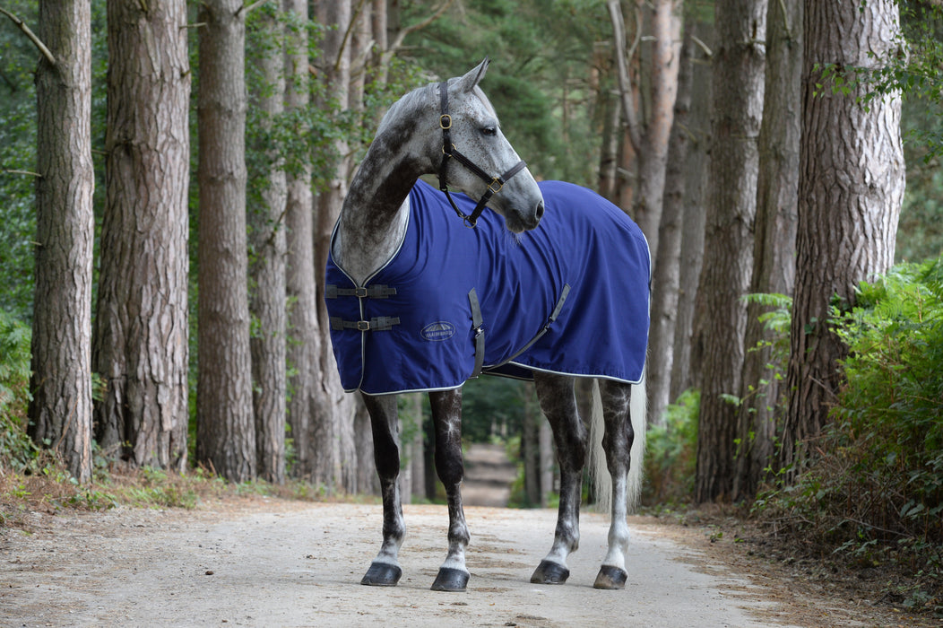 WeatherBeeta Standard Neck Cotton Show Sheet With Surcingles II (No Fill) in Dark Blue (Grey/White Trim) - On horse looking back