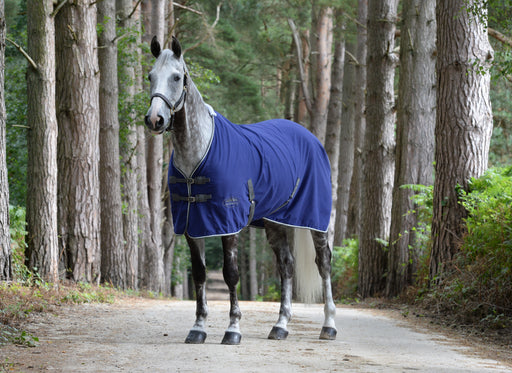 WeatherBeeta Standard Neck Cotton Show Sheet With Surcingles II (No Fill) in Dark Blue (Grey/White Trim) - On horse from front