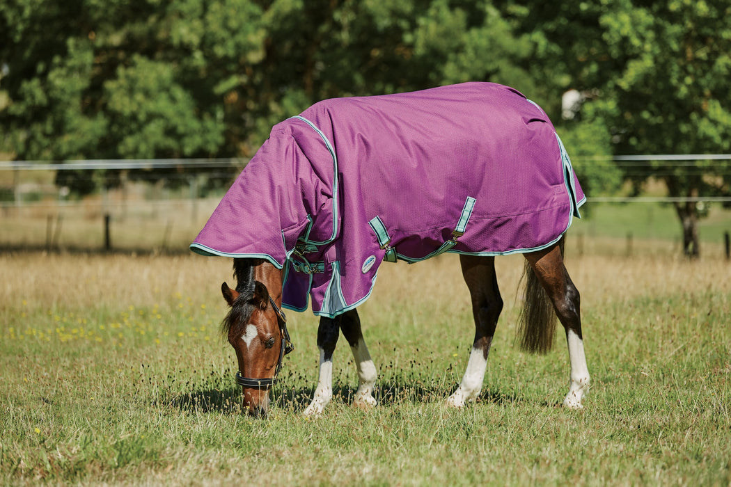 WeatherBeeta ComFiTec Premier Freedom Detach-A-Neck Pony Turnout Blanket (220g Medium)