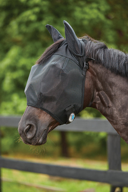 WeatherBeeta ComFiTec Double Dart Fly Mask (Standard With Ears) in Black - On horse