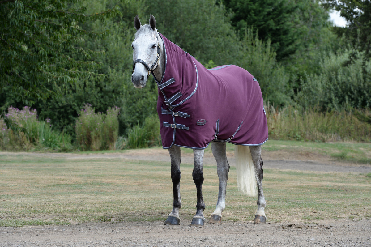 Weatherbeeta Cooler Horse Blanket on sale