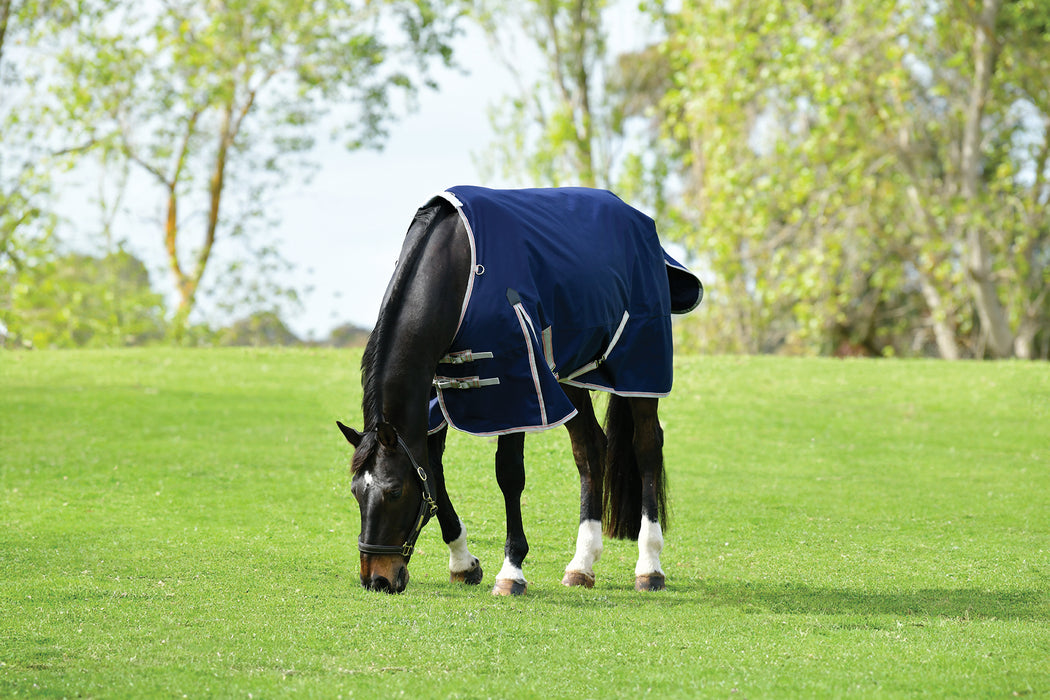 WeatherBeeta ComFiTec Essential Plus Standard Neck Turnout Sheet (0g Lite) in Navy (Silver/Red Trim) - On horse grazing from side