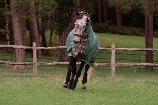 WeatherBeeta ComFiTec Tyro Plus Combo Neck Turnout Blanket (50g Medium-Lite) in Green (Burnt Orange/White Trim) - On horse running from front