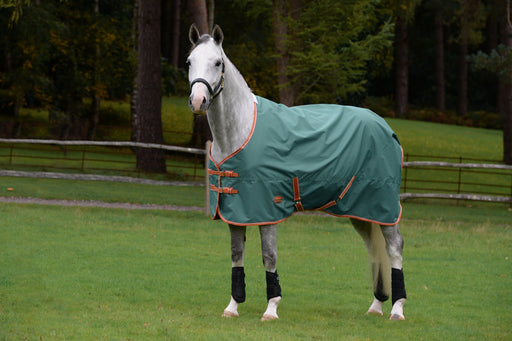 WeatherBeeta ComFiTec Tyro Plus Standard Neck Turnout Blanket (50g Medium-Lite) in Green (Burnt Orange/White Trim) - On horse from side