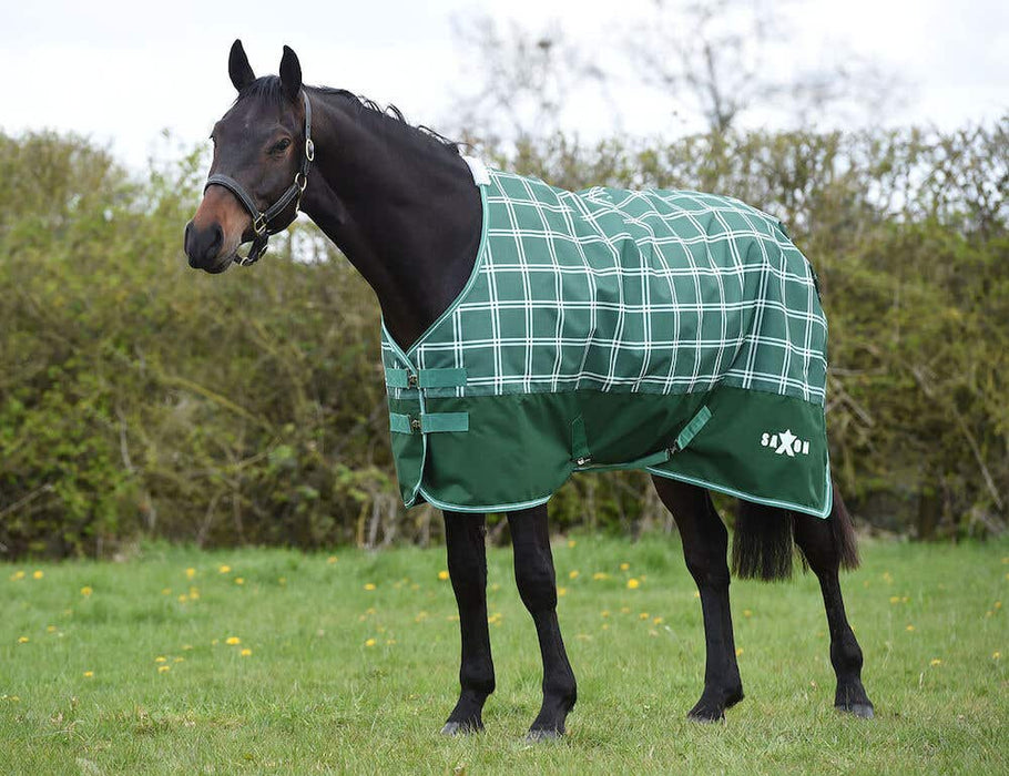 Saxon Defiant 1200D Standard Neck Turnout Blanket (220g Medium) in Hunter Green Plaid - On horse from side