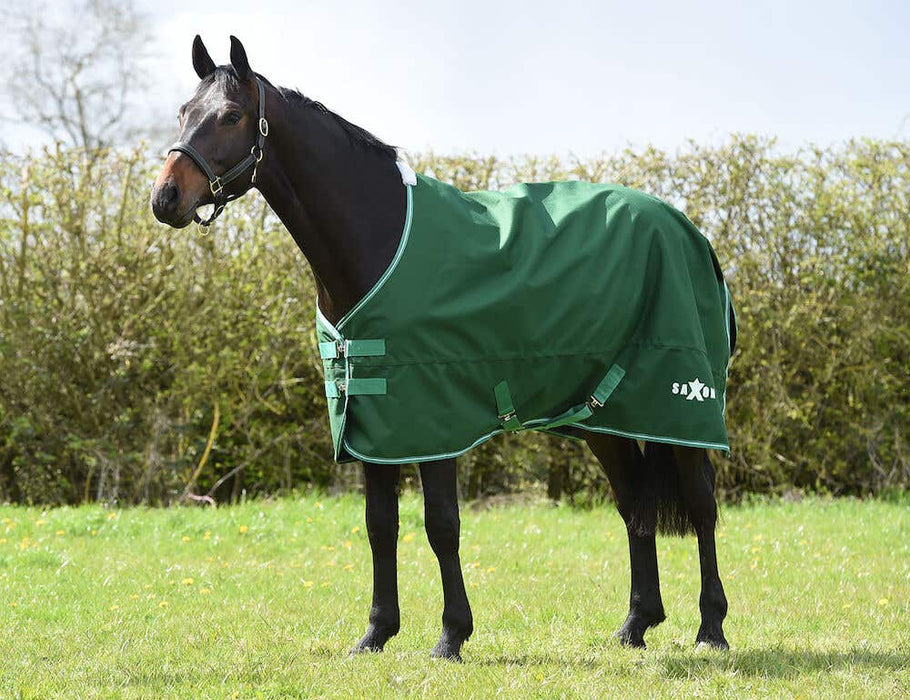 Saxon Defiant 1200D Standard Neck Turnout Blanket (220g Medium) in Hunter (Green/White Trim) - On horse from side