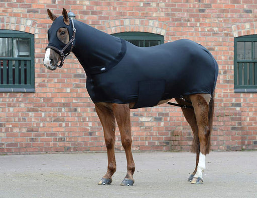 WeatherBeeta Stretch Blanket (No Fill) in Black - On horse