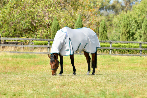 WeatherBeeta ComFiTec Zephyr Plus Mesh Combo Neck Fly Sheet (No Fill) in Silver(Teal Green/Stone Trim) - On horse grazing from side