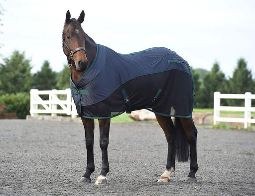 WeatherBeeta Air-Tec Cooler Standard Neck Cooler (No Fill) in Black (Hunter Green Trim) - On horse from side