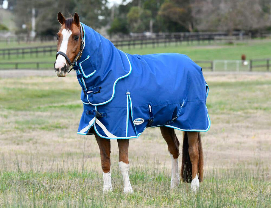 WeatherBeeta ComFiTec Ultra Hardi Detach-A-Neck Turnout Blanket (100g Medium-Lite)