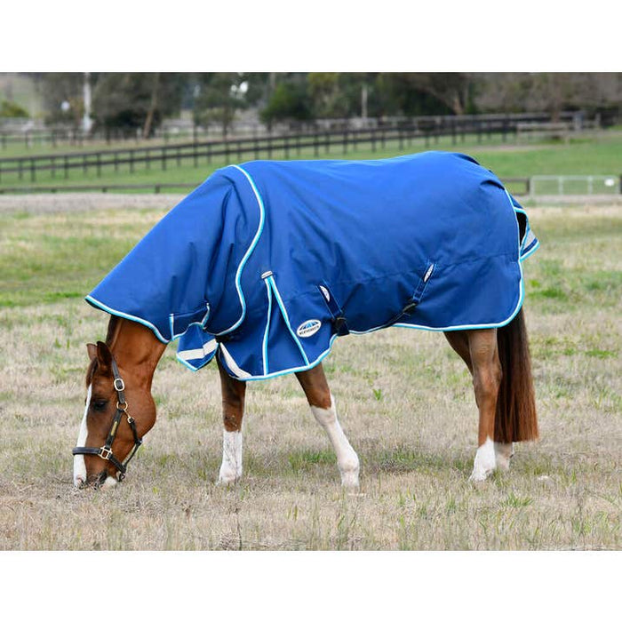 WeatherBeeta ComFiTec Ultra Hardi Detach-A-Neck Turnout Blanket (100g Medium-Lite)