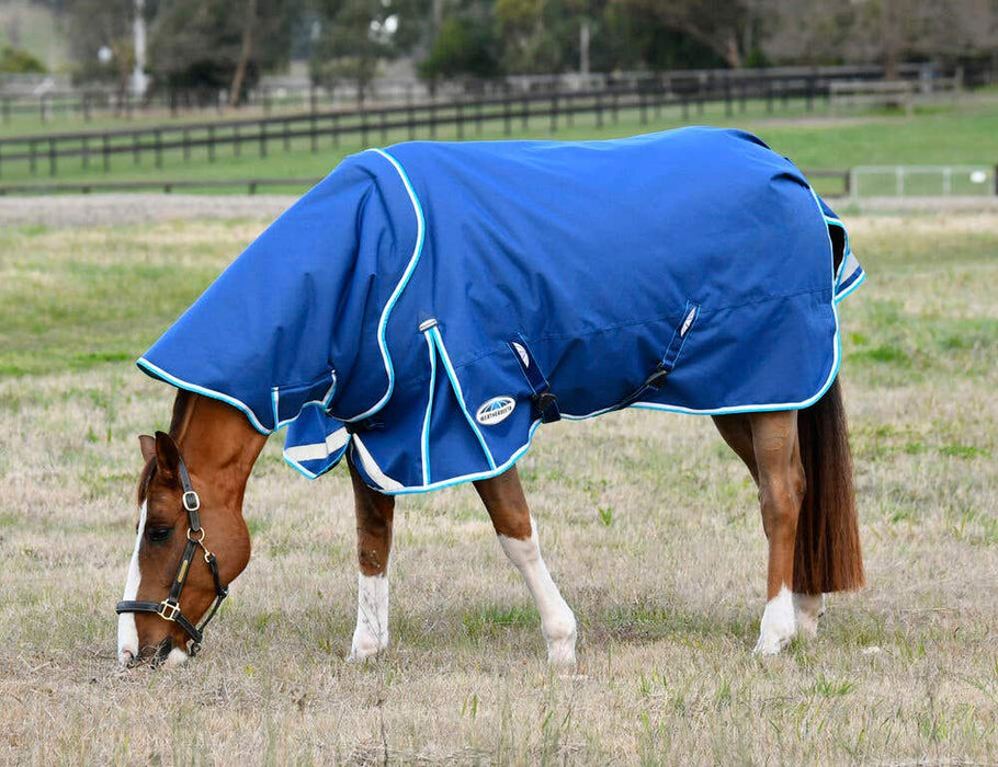 WeatherBeeta ComFiTec Ultra Hardi Detach-A-Neck Turnout Blanket (100g Medium-Lite)