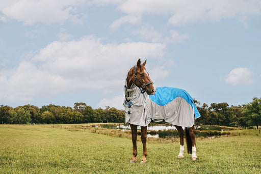 WeatherBeeta ComFiTec Dual Shield Detach-A-Neck Neck Summer Sheet (No Fill + Waterproof) in Blue (Gray Trim) - On horse from side