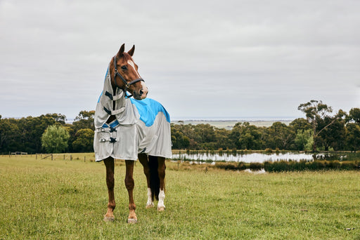 WeatherBeeta ComFiTec Dual Shield Detach-A-Neck Neck Summer Sheet (No Fill + Waterproof) in Blue (Gray Trim) - On horse from front