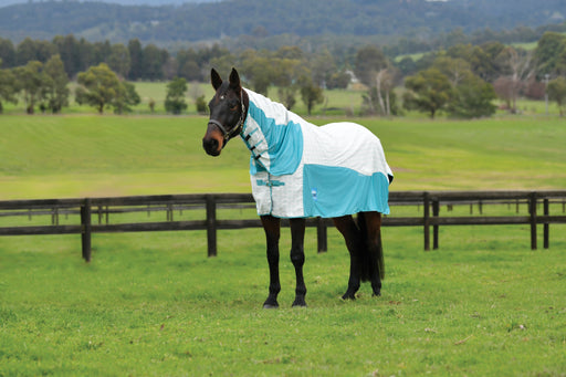 WeatherBeeta Kool Coat Airstream II Detach-A-Neck Summer Sheet (No Fill) in White (Mint Trim) - On horse from side