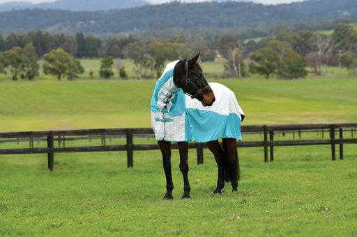 WeatherBeeta Kool Coat Airstream II Detach-A-Neck Summer Sheet (No Fill) in White (Mint Trim) - On horse turned head from side